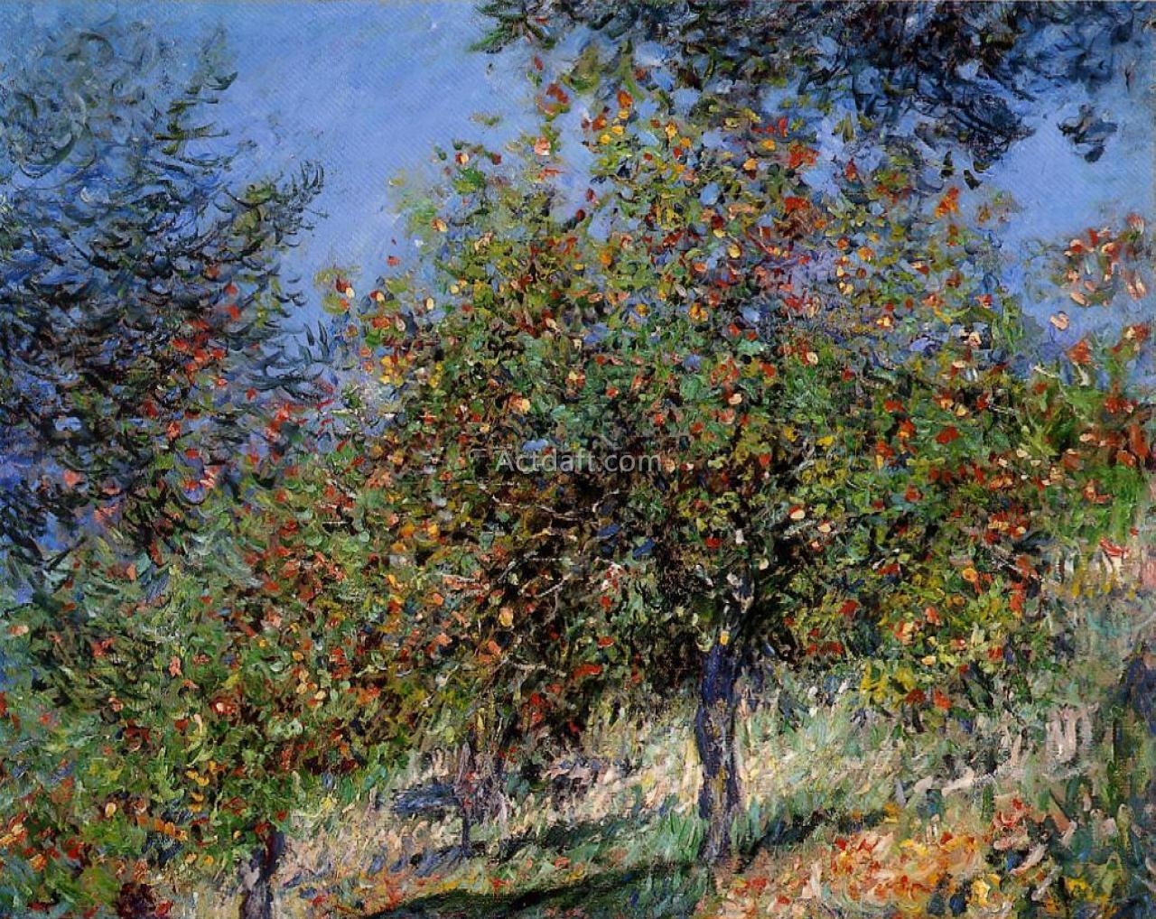 Apple Trees on the Chantemesle Hill 1878