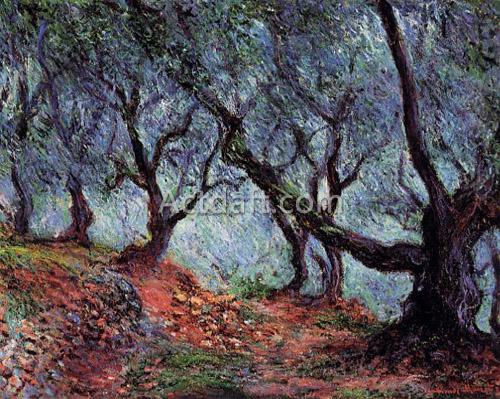 Grove of Olive Trees in Bordighera 1884